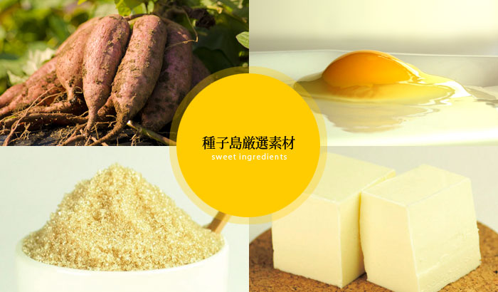 種子島厳選素材
